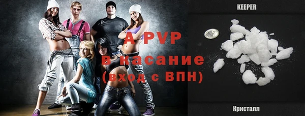 индика Беломорск