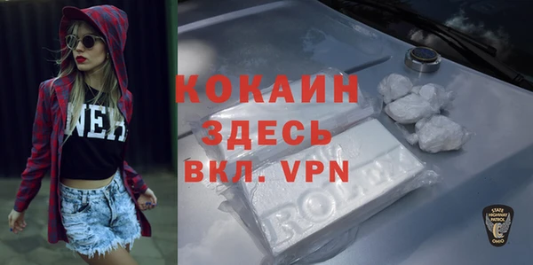 индика Беломорск