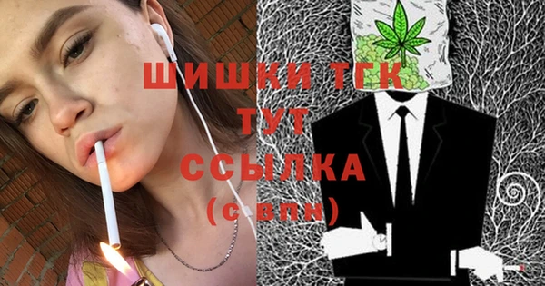 индика Беломорск