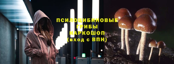 сатива Ростов