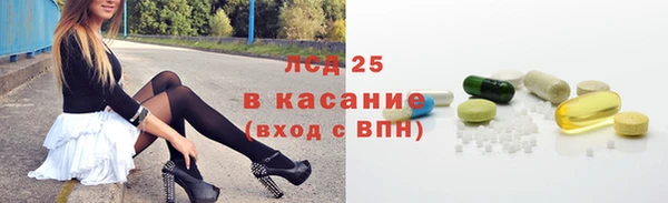сатива Ростов