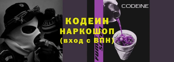 индика Беломорск