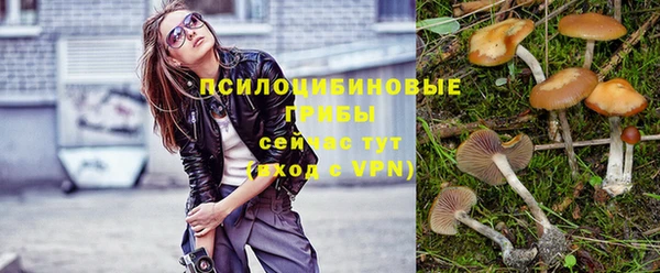 экстази Рославль