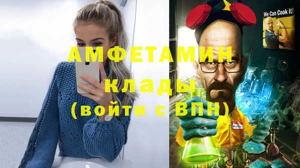 индика Беломорск