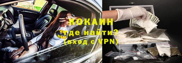 индика Беломорск