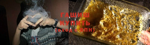 индика Беломорск