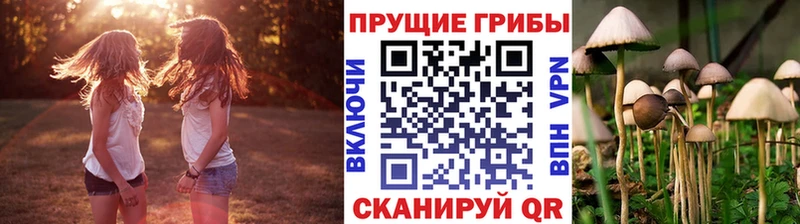 закладки Волчанск Галлюциногенные грибы мухоморы